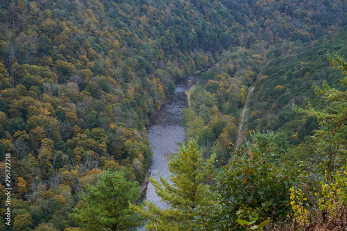 View of the gorge at the Pennsylvania Grand Canyon. Scenic view of the fall foliage.