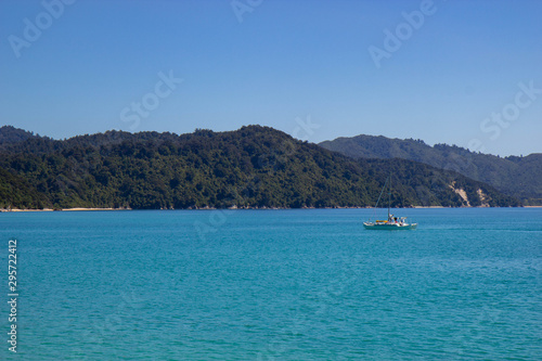 view of Abel Tasman National Park  New Zealand