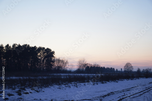Wallpaper Mural Beautiful winter landscape on a background of trees and forest. Christmas and New Year mood. Snowfall and the view as in a fairy tale Torontodigital.ca