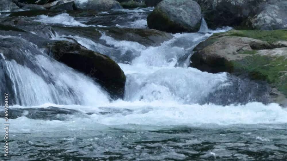 rapid river rushing over large boulders flowing through a forest rapid river rushing over large boulders flowing through a forest