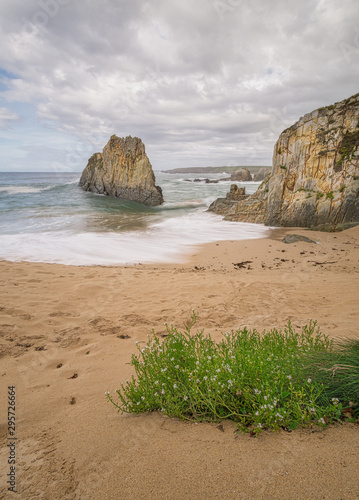 Green and rock photo