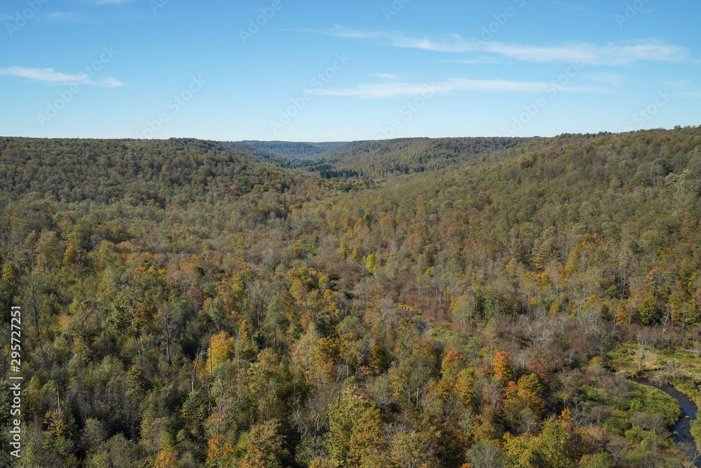 Breathtaking view from the sky walk at the Kinzua Bridge State Park located in Pennsylvania. Breathtaking view from the sky walk at the Kinzua Bridge State Park located in Pennsylvania.