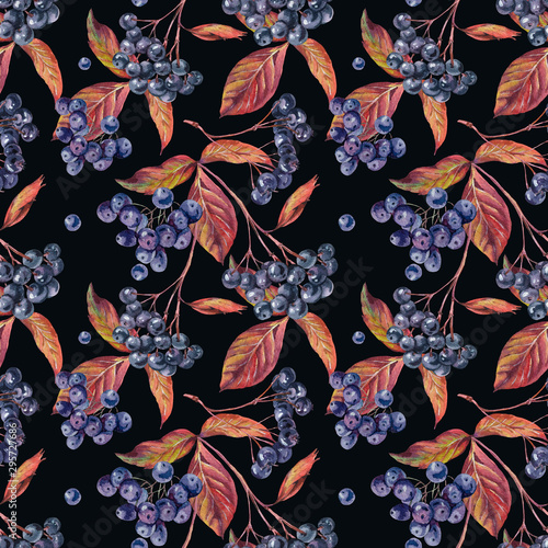 Watercolor vintage seamless pattern with chokeberry, autumn leaves, blue berries.