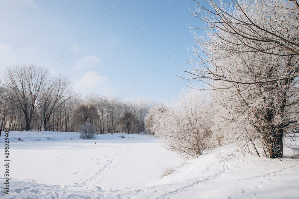 Winter park landscape in frosty and sunny day