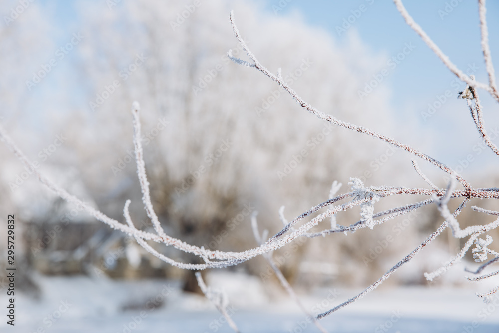Winter background with snow branches. Holiday Christmas greeting card Winter background with snow branches. Holiday Christmas greeting card
