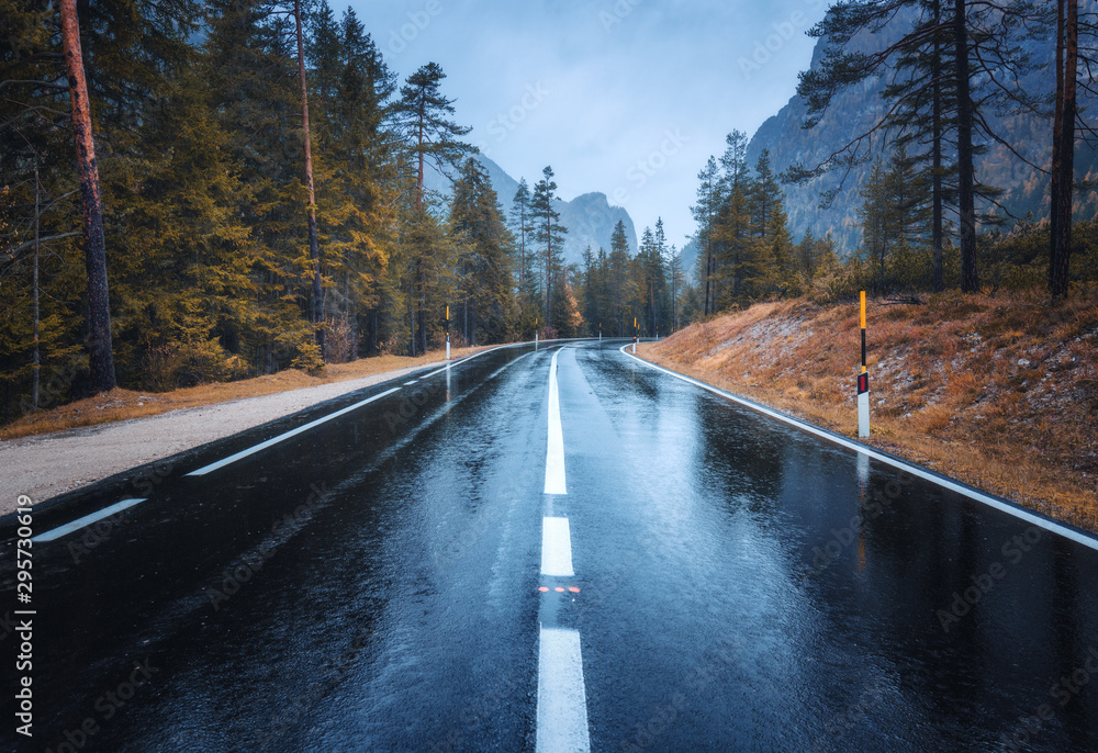 Fototapeta premium Road in the autumn forest in rain. Perfect asphalt mountain road in overcast rainy day. Roadway with reflection and pine trees. Transportation. Empty highway in foggy woodland. Driveway in fog