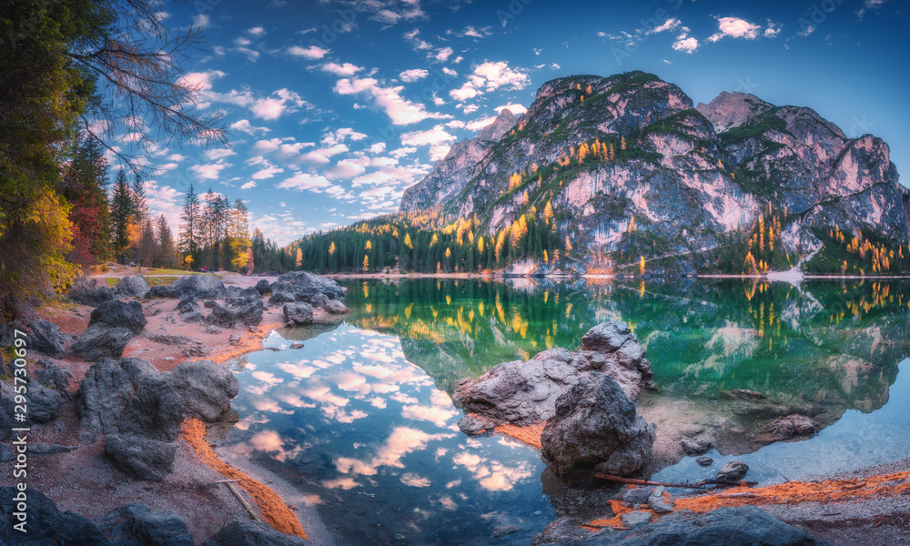 Beautiful Braies lake at sunrise in autumn in Dolomites, Italy. Landscape with mountains, blue sky with clouds, water with reflection, stones, trees with colorful leaves. Lake in fall. Panorama - obrazy, fototapety, plakaty 