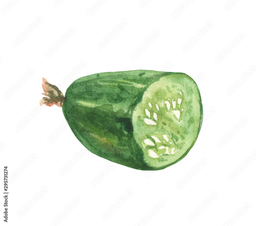 Naklejka premium Watercolor half of cucumbers. Composition on a white background, for design decisions on the theme of cooking, preservation, vegetables, salads.