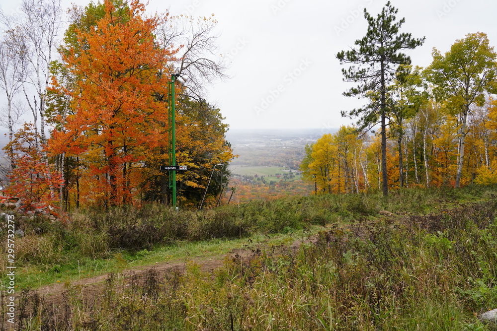 Fototapeta premium Wisconsin's Fall Autumn season color landscape photography. The beauty of autumn color season change.