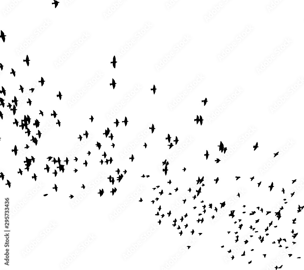 A flock of flying birds. Vector illustration A flock of flying birds. Vector illustration