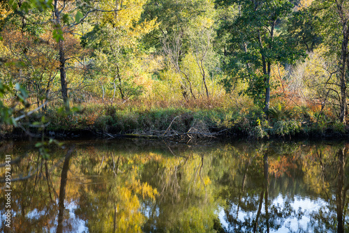 Fototapeta Naklejka Na Ścianę i Meble -  See Wasser Natur Herbst 