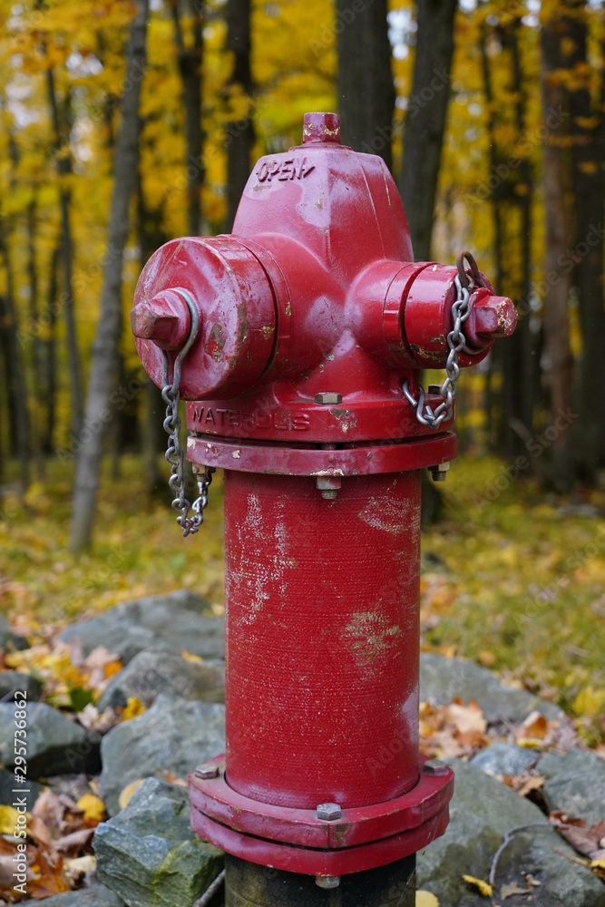 Red fire hydrant stands alone among the beauty of the fall autumn season colors Red fire hydrant stands alone among the beauty of the fall autumn season colors