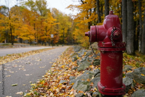 Red fire hydrant stands alone among the beauty of the fall autumn season colors