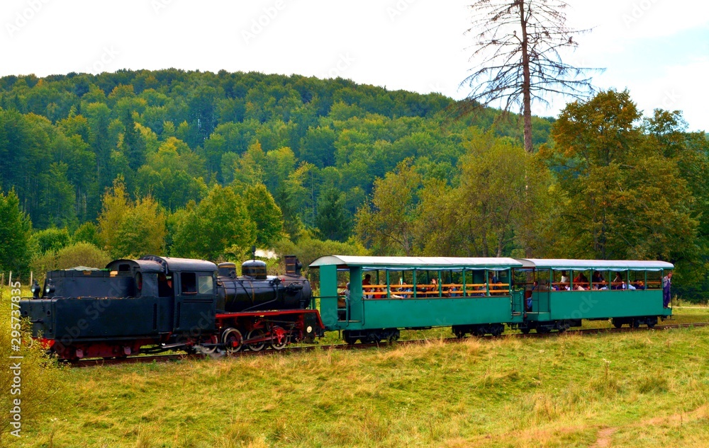 train with tourists in Sovata resort - Romania train with tourists in Sovata resort - Romania