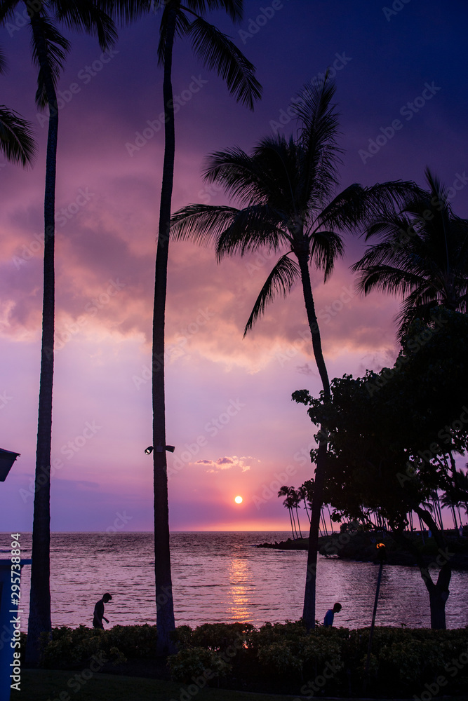 ハワイの風景 Stock Photo Adobe Stock