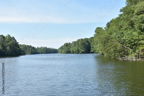 a view or Lake Maury from the Noland trails park