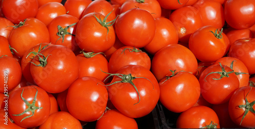 Red, ripe organic tomatoes in late autumn, fresh from the field, displayed at a farmer’s market stall in southern California, take advantage of a long growing season