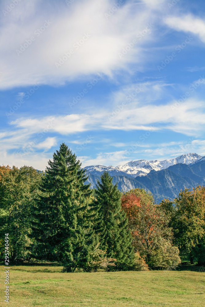 Trees and sky in early autumn. In the center are trees, some of which have yellow foliage. On the blue sky are beautiful white clouds. Trees and sky in early autumn. In the center are trees, some of which have yellow foliage. On the blue sky are beautiful white clouds.