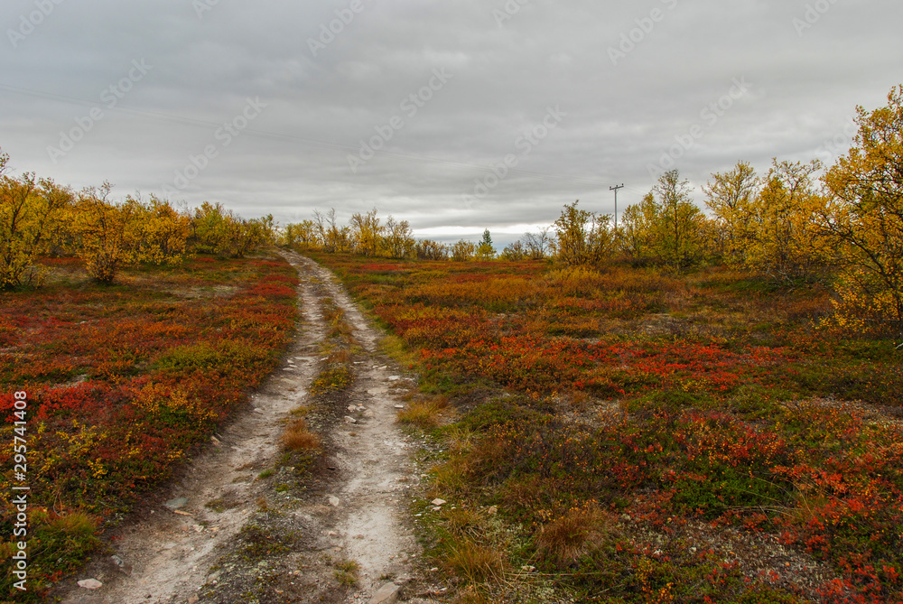 A way going through harsh autumn nature of Finnmark, Norway