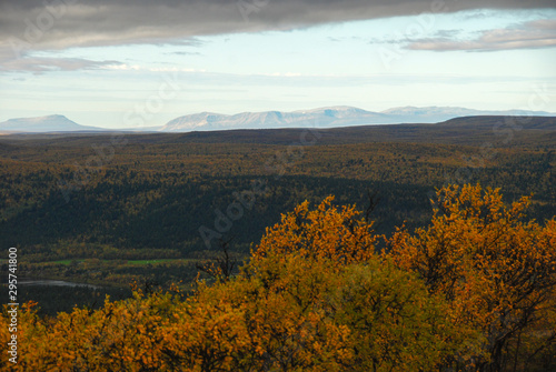 Scenery of autumn forests of Finnmark, Norway with masive mountains in the background