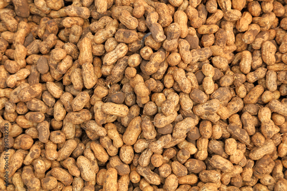 Peanut fruit Peanut fruit