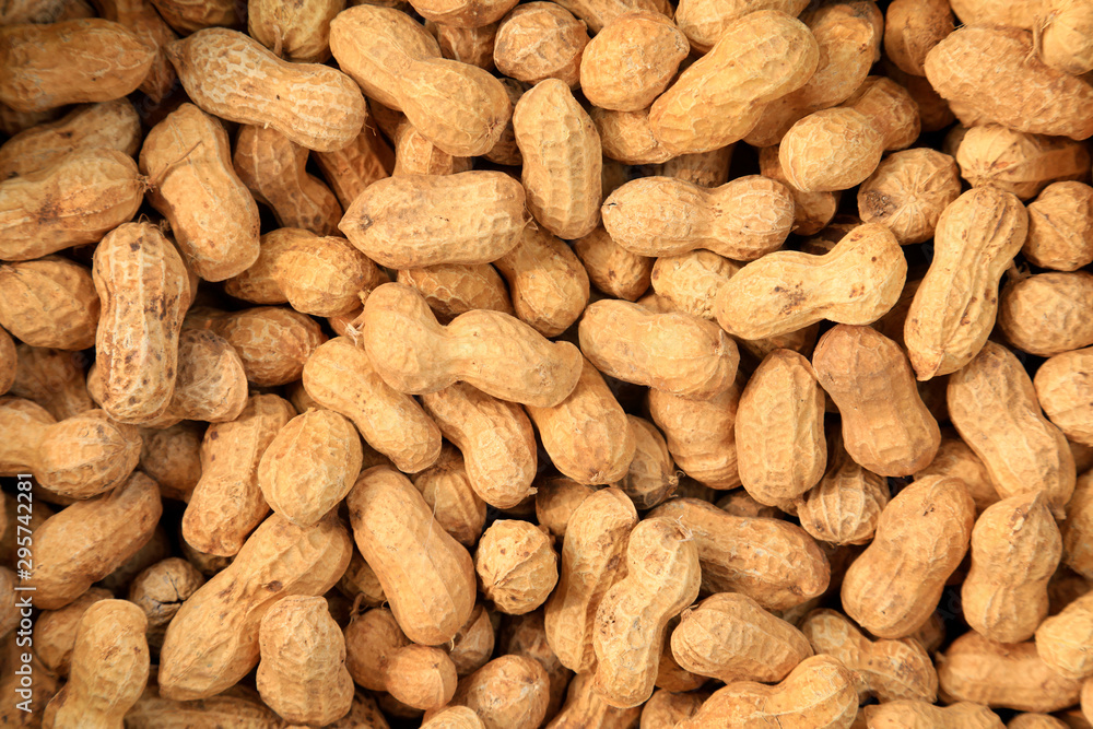 Peanut fruit Peanut fruit