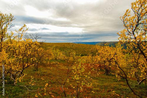 Fototapeta Naklejka Na Ścianę i Meble -  Colors of northern Norway in autumn 