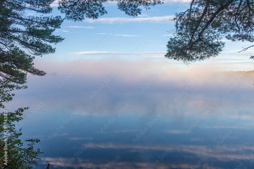 Mist and clouds reflected in a pond