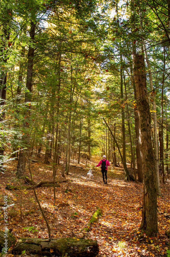 woman with dog on a trail with fall colors in the North country NY woman with dog on a trail with fall colors in the North country NY