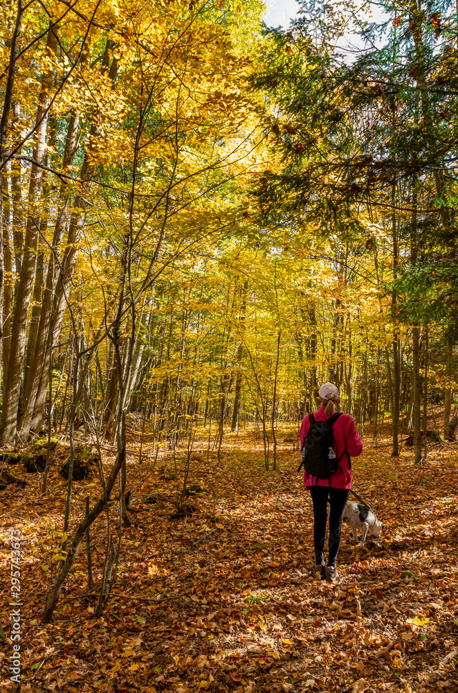 woman with dog enjoying the fall colors in the North country NY woman with dog enjoying the fall colors in the North country NY