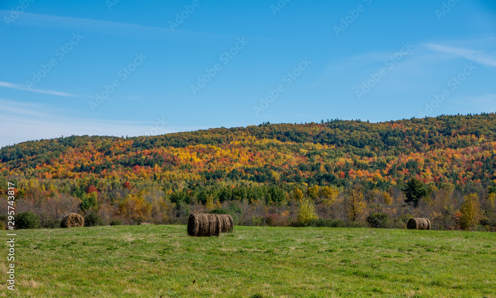 Fototapeta premium Fall folaige in the north country ny