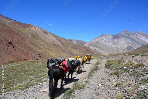 hiking in the mountains
