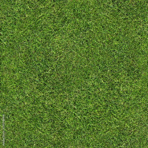 Seamless green grass texture