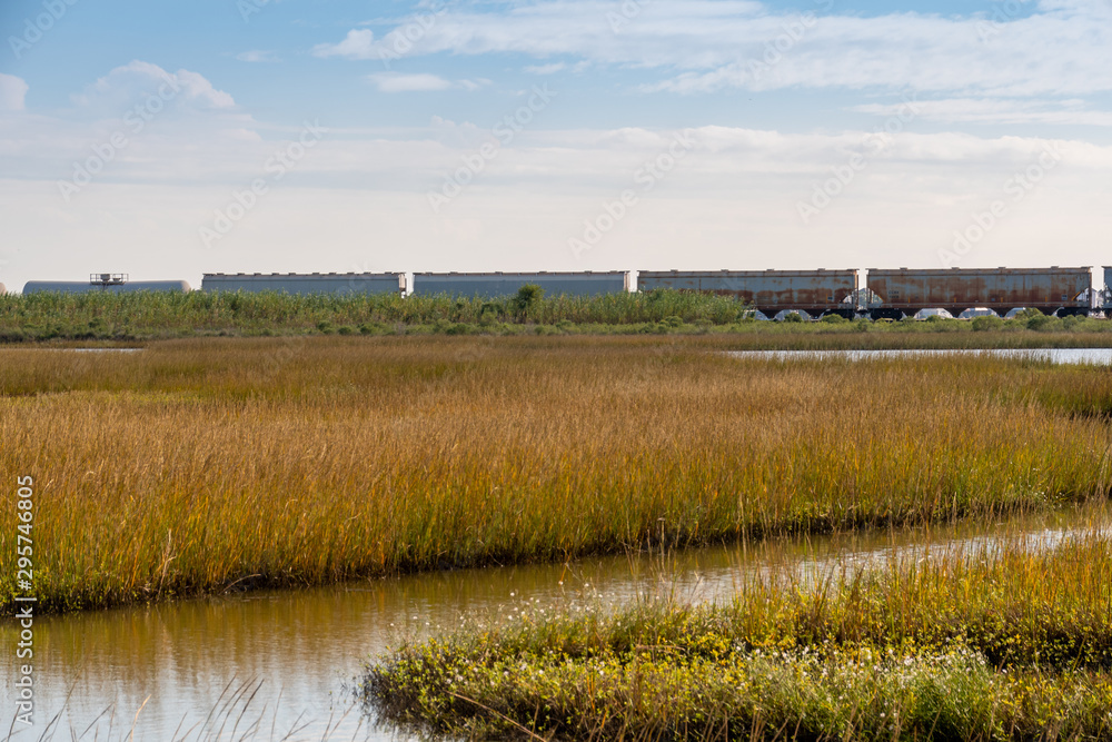 Train cars rolling on a track in the marsh