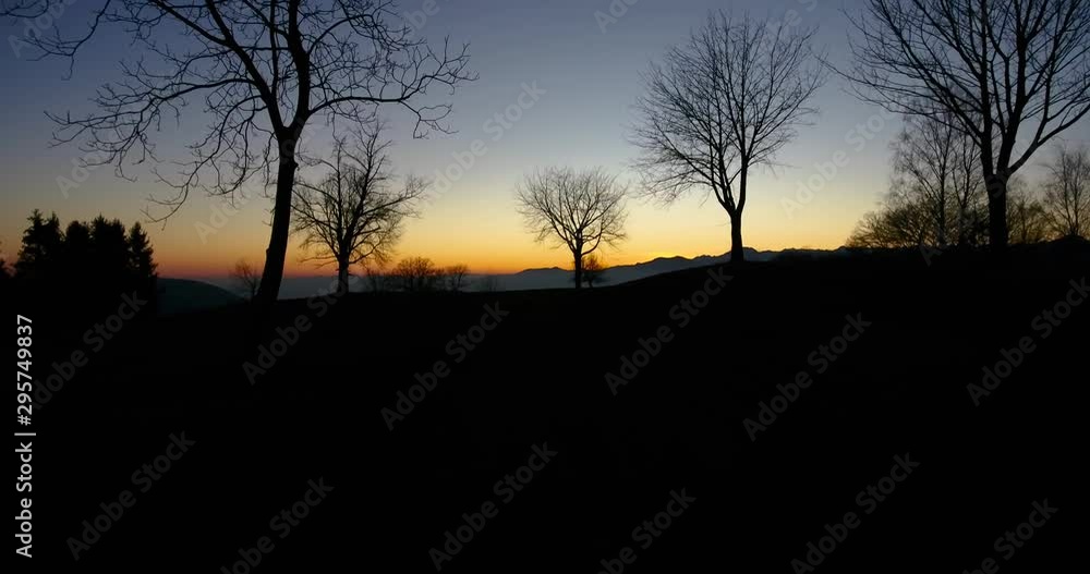 Drone shot flying between trees silhouette at sunset on hilltop with italian alps in the background. Dolly shot. Drone shot flying between trees silhouette at sunset on hilltop with italian alps in the background. Dolly shot.