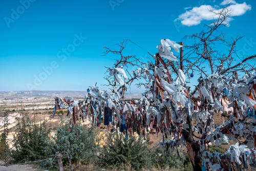 Wish tree with evil eyes and wish threads in Pigeon Valley, Turkey