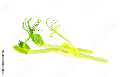 Pea Sprouts on white background