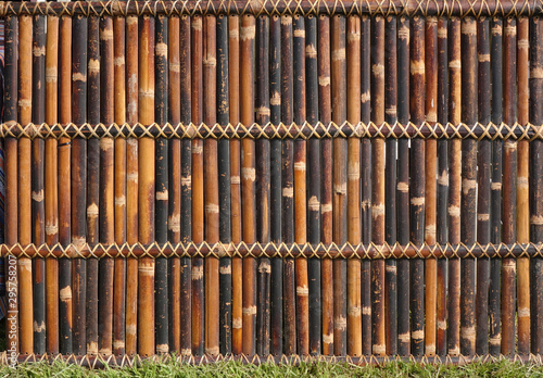 A Fence Made of Bamboo