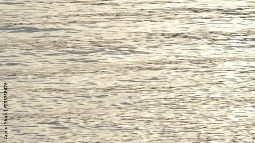 水面の揺らぎ 水面の揺らぎ
