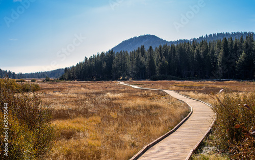 Wooden footpath through a mountain meadow near Lake Tahoe Nevada