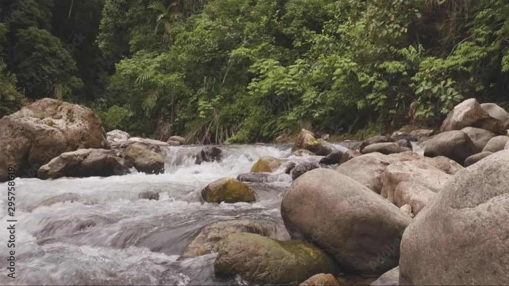 Streaming river jungle Sumatra Indonesia Streaming river jungle Sumatra Indonesia