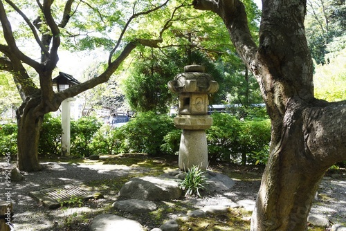 Scenery of the precincts of Japanese shrin photo