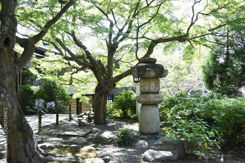 Scenery of the precincts of Japanese shrin photo