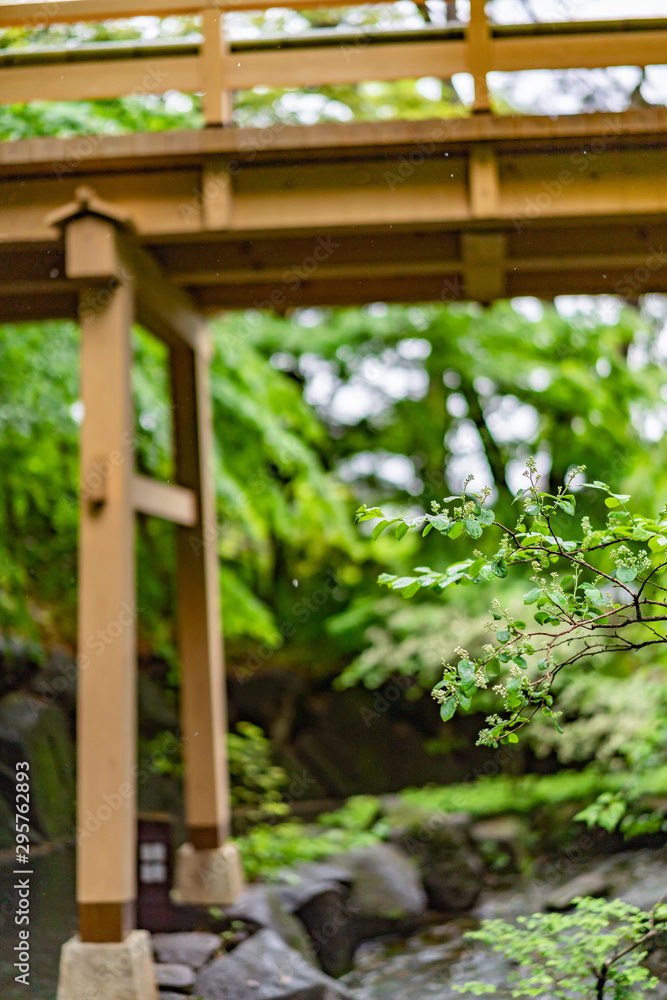 Fototapeta premium 徳川園の庭園の橋