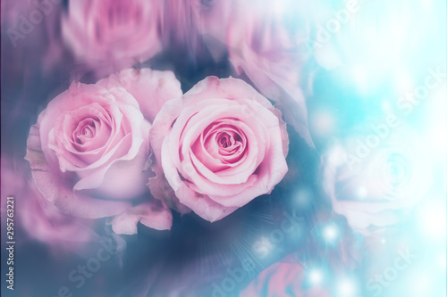 Beautiful Flowers Background with bokeh 