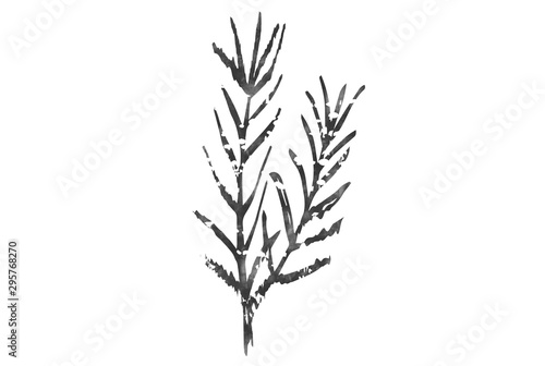 Black plant brush. Plant background