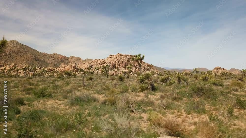Panning shot of a field at Joshua Tree National Park made up of brush, large rocks, and joshua trees Panning shot of a field at Joshua Tree National Park made up of brush, large rocks, and joshua trees