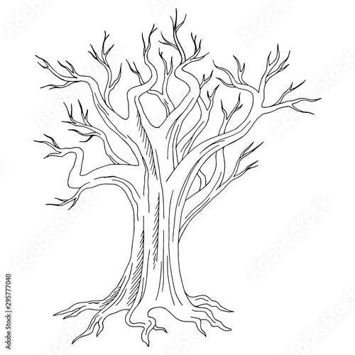 Old tree graphic black white isolated sketch illustration vector