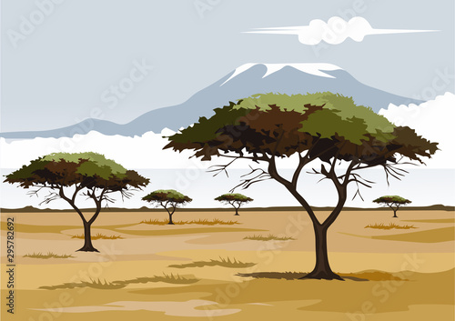 savana on africa for background and image illustartion
