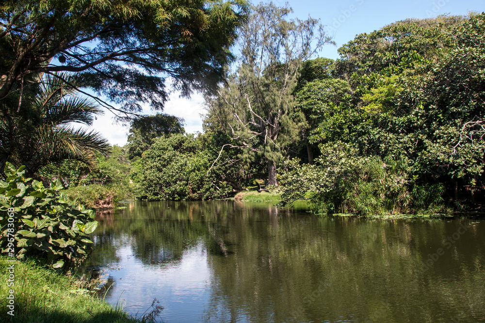 Large Pond Surrounded by Trees and Vegetation